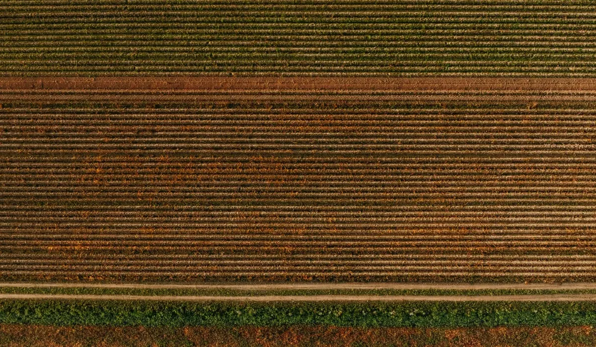 Equipamento de georreferenciamento em área rural